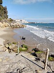 IMG_20220310_153121306