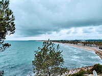 IMG_20220310_123339227_HDR