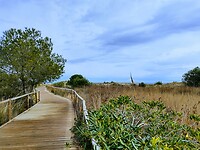 IMG_20220308_154448265_HDR