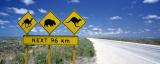 Next96km_australie