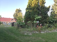 IMG_20240722_195919