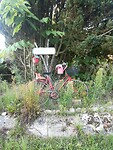 IMG_20240722_195758