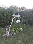 IMG_20240722_195729