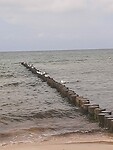IMG-20240724-WA0017