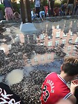 IMG_20240729_165409