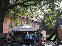 IMG_20240731_152027