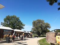 IMG_20240731_151912