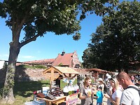 IMG_20240731_151937