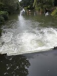 IMG_20240807_162626