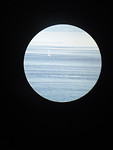 baluga point noire met mobiel door telelens daar genomen