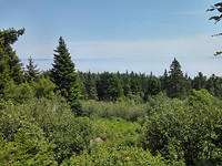 IMG_20170717_142247_HDR