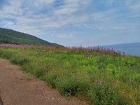 IMG_20170721_135012_HDR