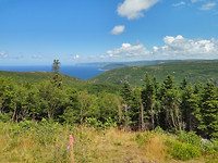 IMG_20170722_125036_HDR