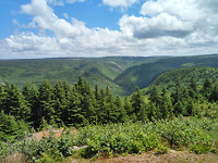 IMG_20170722_125041_HDR