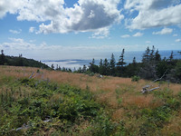 IMG_20170722_152519_HDR