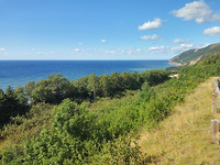 IMG_20170722_171259_HDR