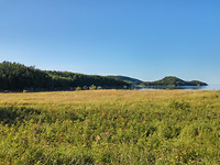 bic park