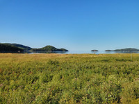 bic park
