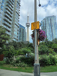 terug in Toronto