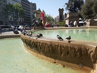 IMG_20180421_113833