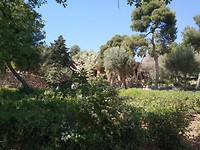 IMG_20180421_151711