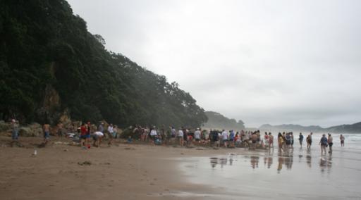 Hot water beach
