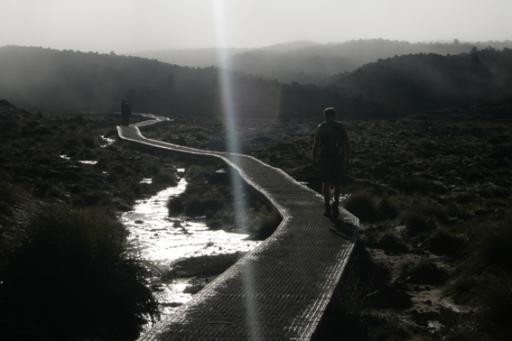 Start van de Tongariro Alpine Crossing