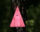 Hoeveelste Possum-trap?