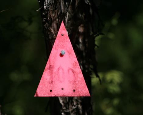 Hoeveelste Possum-trap?