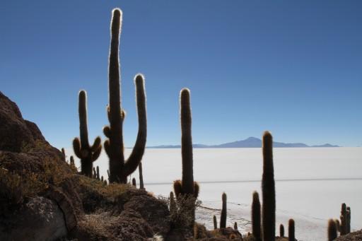 Isla Incahuasi