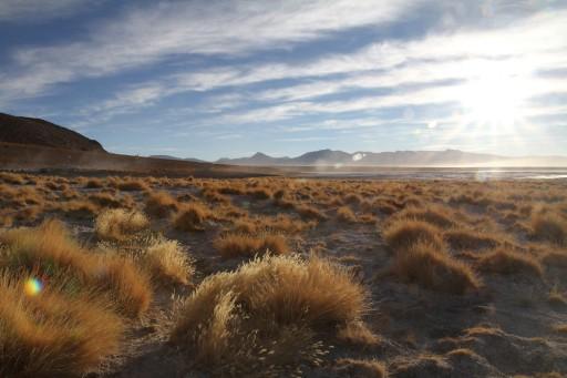 Laguna Salada