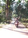 Thailand (683)