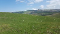 20180427_111828