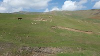 20180427_140807