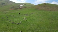 20180427_111831