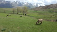 20180427_135056