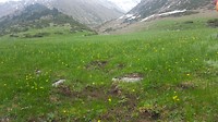 20180505_155731