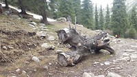 20180505_162816