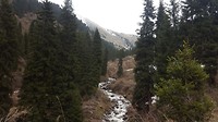 20180505_115056