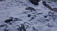 20180507_083104