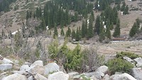 20180505_162412
