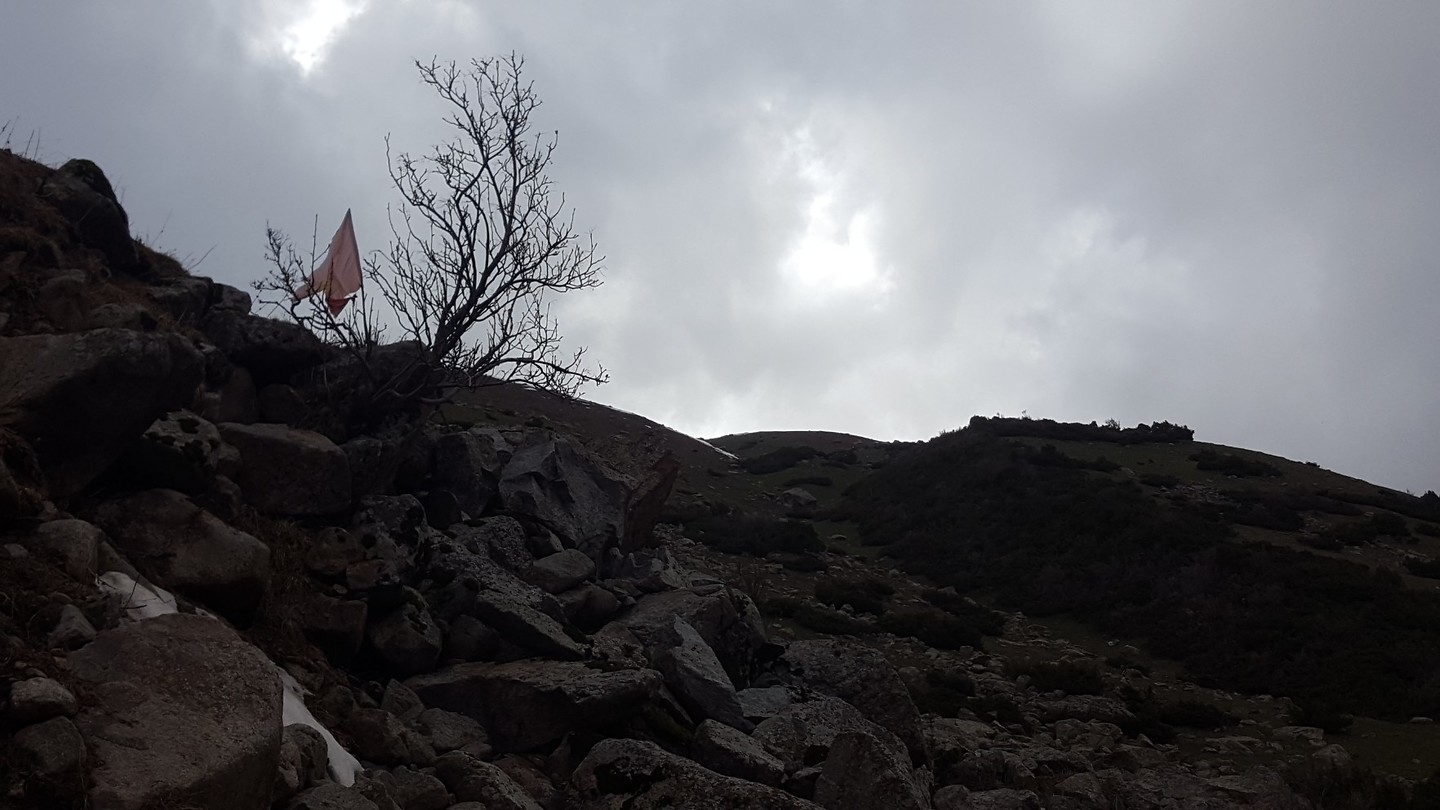 20180505_154830