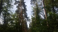 20180511_170329