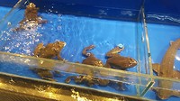 20180514_170900