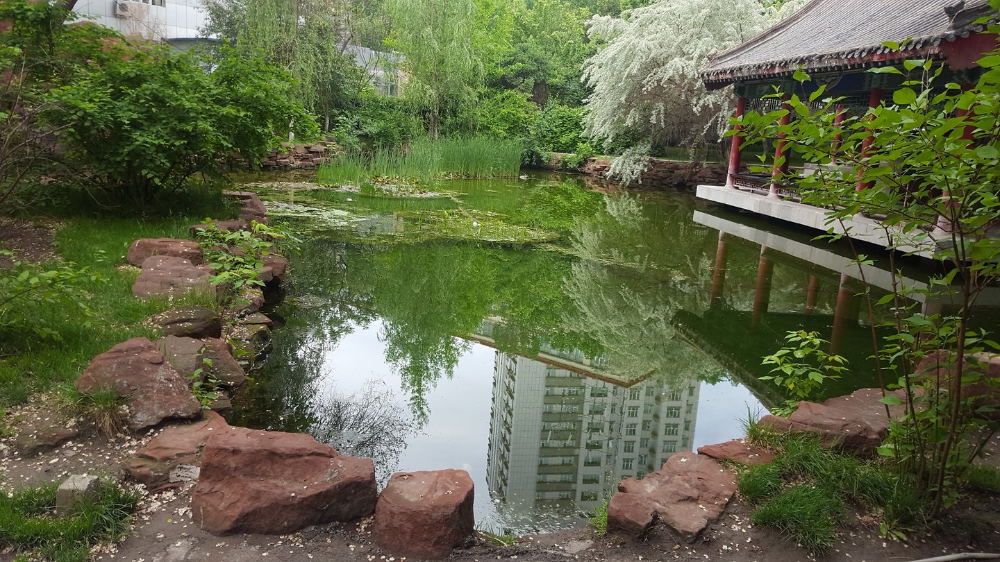 20180515_112438