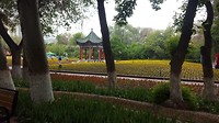 20180515_110426