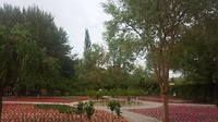20180517_153113
