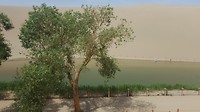 20180516_153400