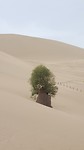 20180516_153426