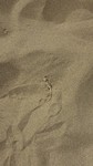 20180516_155247